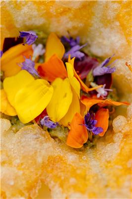 Fleur de courgette en tempura farcie de pesto aux amandes et fleurs du potager focusfleurs Le Chalet de la Foret   Credit photo Christian Hagen